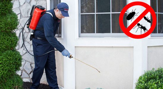 Çukurova Hamam Böceği İlaçlama böcek ilaçlama ve haşere kontrolü — ilaclama-tr.com